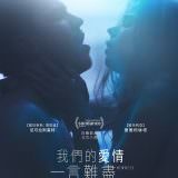 Movie, Newness(美國) / 我們的愛情一言難盡(台) / 新奇(網), 電影海報, 台灣