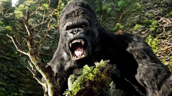 Movie, King Kong(紐西蘭.美國.德國) / 金剛(台) / 金刚(中) / King Kong(港), 電影劇照