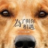 Movie, A Dog's Purpose(美國) / 為了與你相遇(台) / 一条狗的使命(中) / 再次相遇(港), 電影海報, 台灣