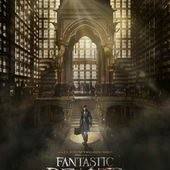Movie, Fantastic Beasts and Where to Find Them(英國.美國) / 怪獸與牠們的產地(台) / 神奇动物在哪里(中), 電影海報, 美國