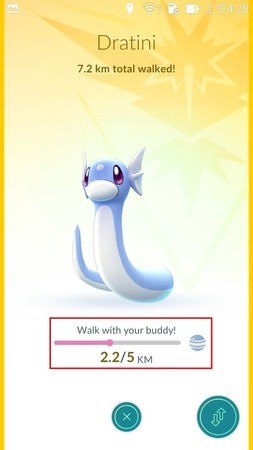 App, Pokémon GO, buddy/夥伴