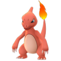 APP, Pokémon GO, 寶可夢圖片, #005 火恐龍/Charmeleon
