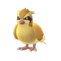 APP, Pokémon GO, 寶可夢圖片, #016 波波/Pidgey