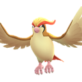 APP, Pokémon GO, 寶可夢圖片, #018 大比鳥/Pidgeot