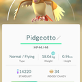 APP, Pokémon GO, 寶可夢資料, #017 比比鳥/Pidgeotto