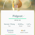 APP, Pokémon GO, 寶可夢資料, #018 大比鳥/Pidgeot
