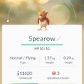 APP, Pokémon GO, 寶可夢資料, #021 烈雀/Spearow