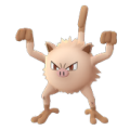APP, Pokémon GO, 寶可夢圖片, #056 猴怪/Mankey