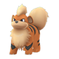 APP, Pokémon GO, 寶可夢圖片, #058 卡蒂狗/Growlithe