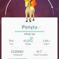 APP, Pokémon GO, 寶可夢資料, #077 小火馬/Ponyta