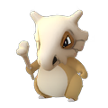 APP, Pokémon GO, 寶可夢圖片, #104 卡拉卡拉/Cubone