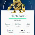 APP, Pokémon GO, 寶可夢資料, #125 電擊獸/Electabuzz