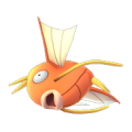APP, Pokémon GO, 寶可夢圖片, #129 鯉魚王/Magikarp