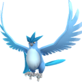 APP, Pokémon GO, 寶可夢圖片, #144 急凍鳥/Articuno