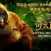 Movie, The Jungle Book(美) / 與森林共舞(台) / 奇幻森林(中), 電影海報, 中國