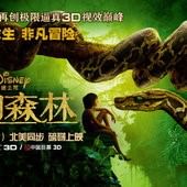 Movie, The Jungle Book(美) / 與森林共舞(台) / 奇幻森林(中), 電影海報, 中國