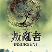 小說, Insurgent(叛亂者), 封面