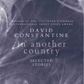 Novel, In Another Country: Selected Stories, 封面