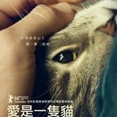 Movie, Kater(奧地利) / 愛是一隻貓(台) / Tomcat(英文) / 公猫(網), 電影海報, 台灣