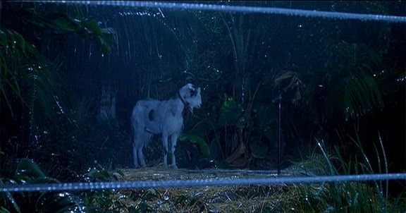 Movie, Jurassic Park(美國, 1993) / 侏羅紀公園(台.港)/ 侏罗纪公园(中), 電影劇照