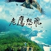 Movie, 老鷹想飛 / Fly, Kite Fly, 電影海報