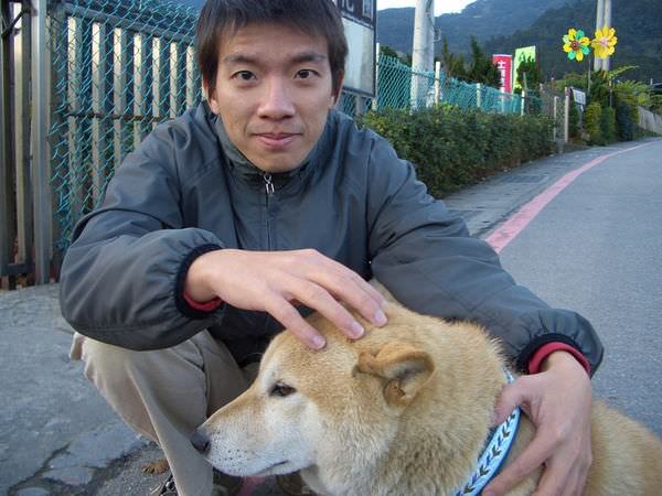 陽明山竹子湖 06-一個花圃前遇到的可愛的柴犬