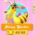 Candy Crush Soda Saga, Honey Garden