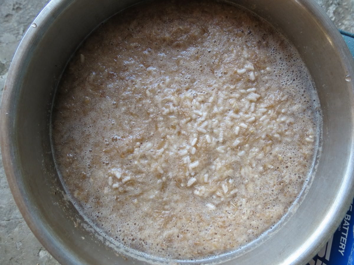 自製麥芽糖, 小麥草+糯米