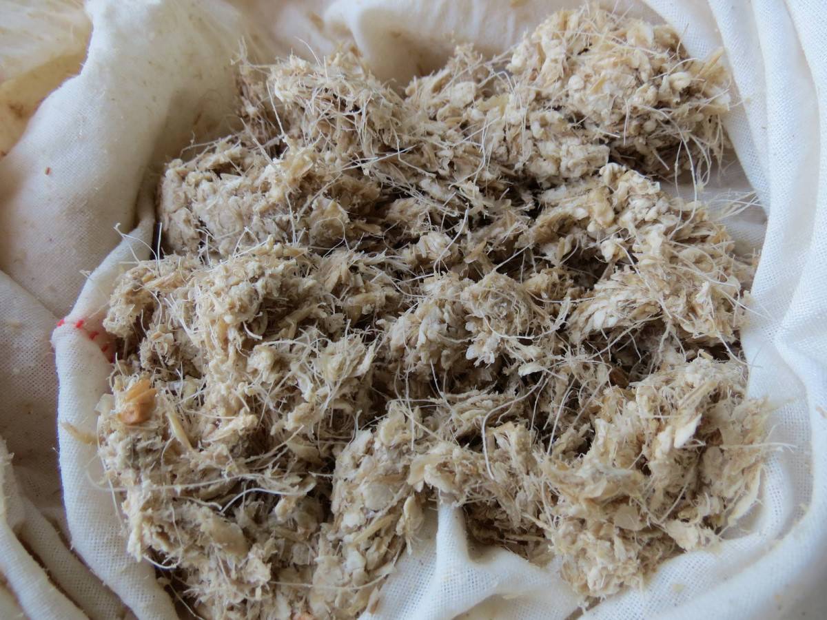 自製麥芽糖, 小麥草+糯米, 殘渣