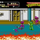 Game, Teenage Mutant Ninja Turtles(忍者龜)