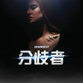 小說, Divergent(分歧者), 封面
