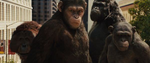 Movie, Rise of the Planet of the Apes(猩球崛起)(猿人爭霸戰:猩凶革命), 電影劇照