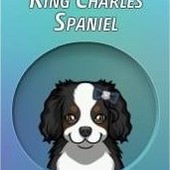 Criminal Case, 警犬商店, Cavalier King Charles