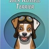 Criminal Case, 警犬商店, Jack Russell Terrier