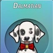 Criminal Case, 警犬商店, Dalmatian