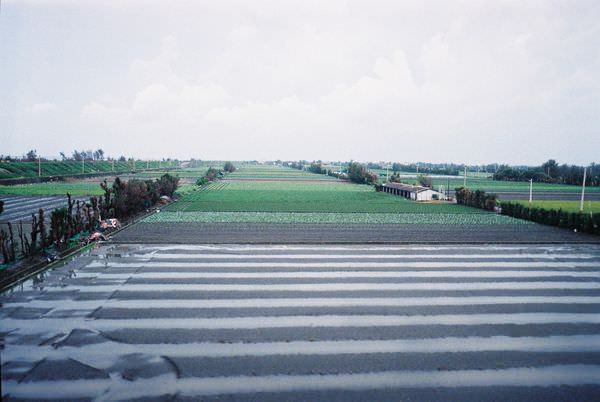 2005年環島, day2, 雲林農田