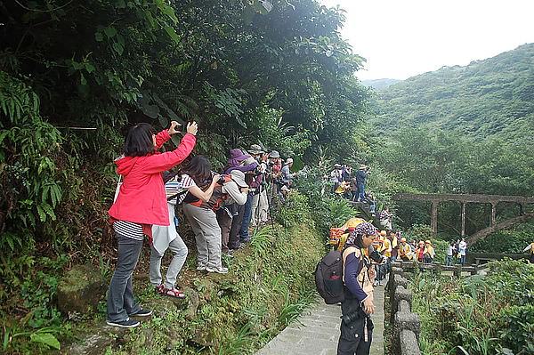 金瓜石媽祖繞境 2013