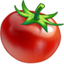cw2_ingredient_tomato_cookbook__83bc9