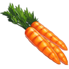 cw2_ingredient_carrots_cookbook__67e25