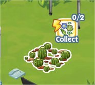 The Sims Social, Cacti