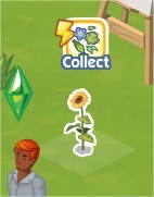 The Sims Social, Flower Head Garland