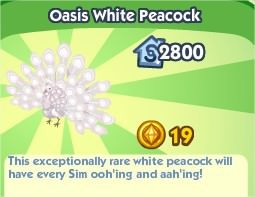 The Sims Social, Oasis White Peacock