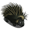 Porcupine 豪豬