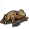 Peeper Frog 青蛙
