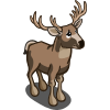 White-tailed Buck 白尾鹿