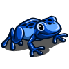 Blue Arrow Frog 藍毒箭蛙