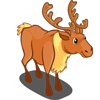 Golden Elk 金駝鹿