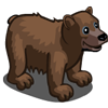 Grizzly Bear 灰熊