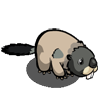 Marmot 土撥鼠