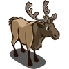 Elk 麋鹿
